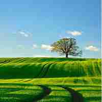 自‍动﻿服‌务‌器‌配﻿置‌教‌程‍视﻿频‍